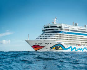 Carnival reports record revenues and profits in the June-August quarter despite a 36% increase in fuel costs.